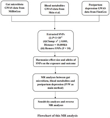The role of gut microbiota and blood metabolites in postpartum depression: a Mendelian randomization analysis